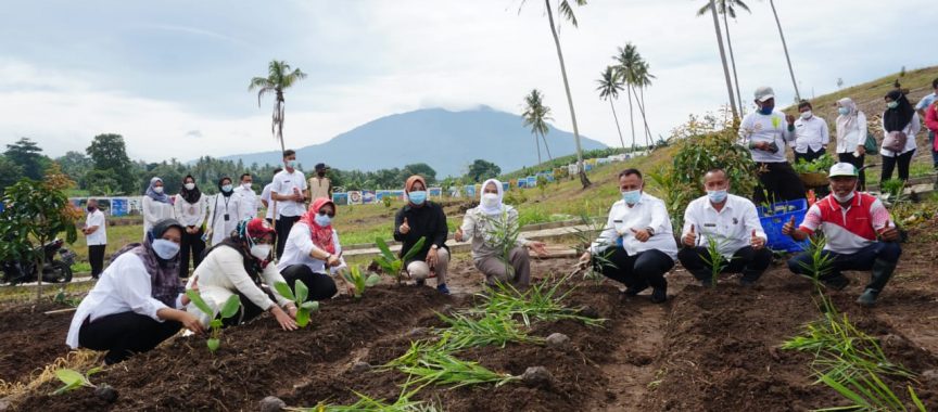 Bupati Tanam 150 Jenis Tanaman Toga Untuk Pengembangan Kebun Edukasi