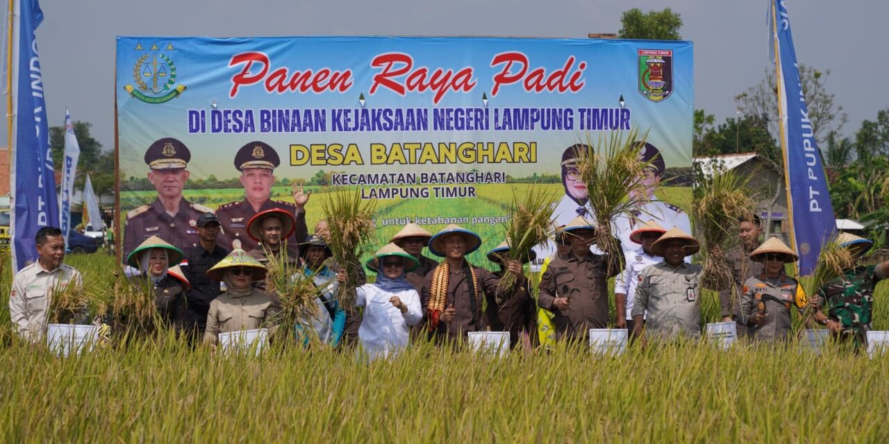 KAJATI LAMPUNG PANEN RAYA 57.683 TON GABAH BERSAMA PETANI MITRA ADHYAKSA KEJARI LAMPUNG TIMUR