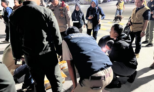 KSKP BAKAUHENI KOLABORASI DENGAN BKSDA LAMPUNG BERHASIL AMANKAN RATUSAN EKOR SATWA LIAR