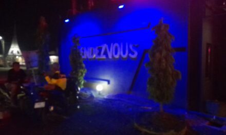 Diduga Ubah Kafe Menjadi Diskotik Dan Karaoke, Pujiarti Tantang Pertanyaan Soal Izin, Pemkab Cilacap Diminta Turun Tangan
