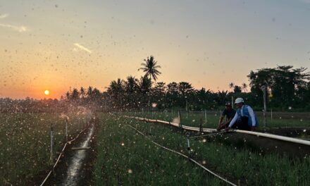Tarif Listrik Triwulan III 2026 Tetap, PLN Siap Jalankan Kebijakan Pemerintah dan Jaga Kualitas Layanan ke Masyarakat