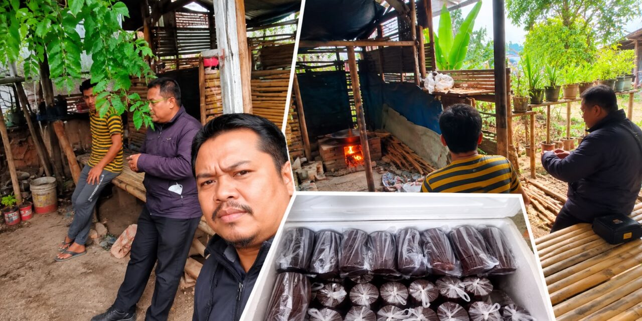 Mengolah Nira Menjadi Peluang Usaha, Budiono Kembangkan Industri Gula Aren Alami Bersama BRI Unit Kedaton