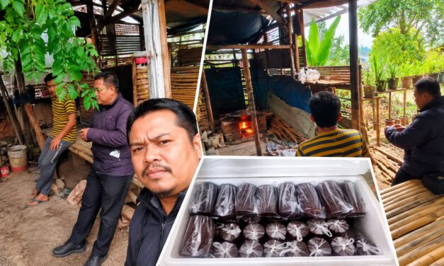Mengolah Nira Menjadi Peluang Usaha, Budiono Kembangkan Industri Gula Aren Alami Bersama BRI Unit Kedaton
